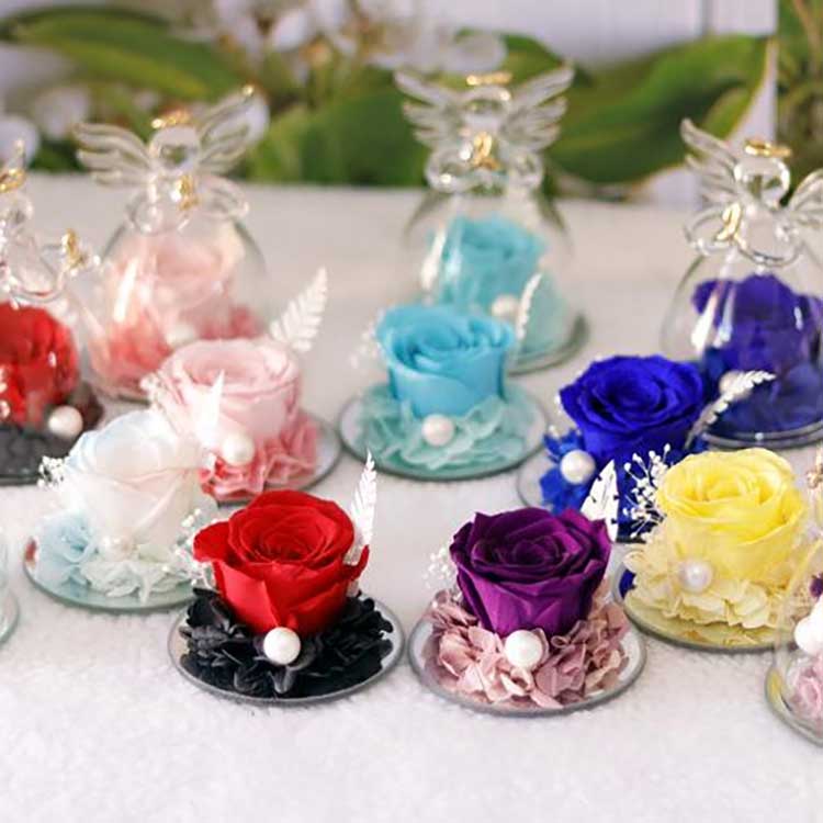 Angelic Langgeng Rose