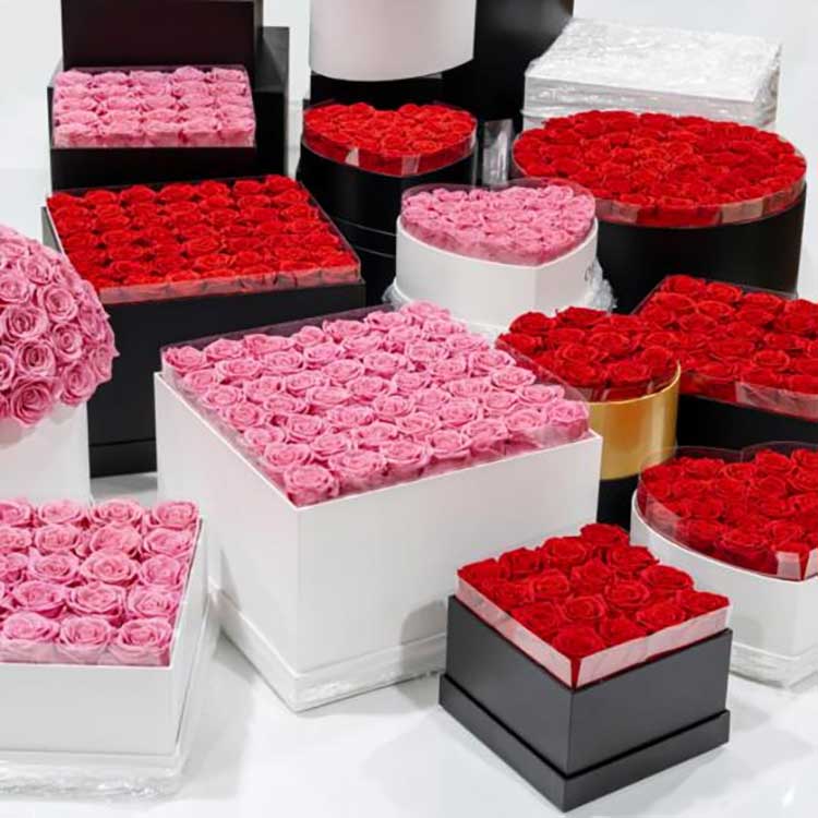 Ember Pelukan Kembang sing diawetake