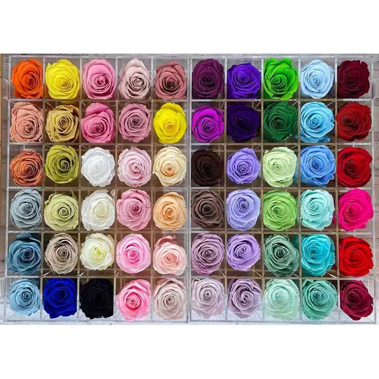 Mawar sing diawetake